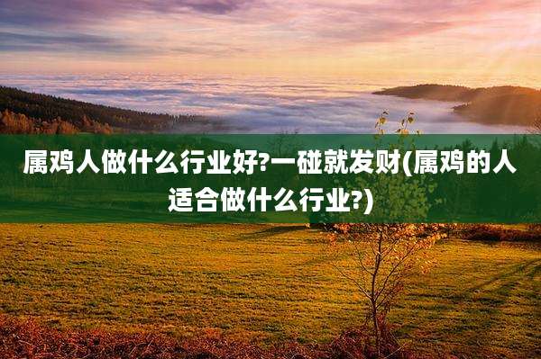 属鸡人做什么行业好?一碰就发财(属鸡的人适合做什么行业?)