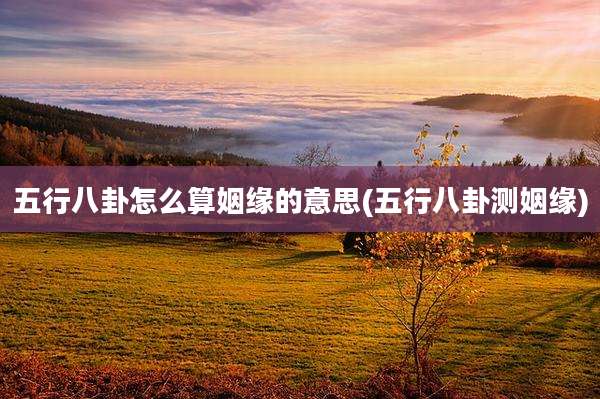 五行八卦怎么算姻缘的意思(五行八卦测姻缘)