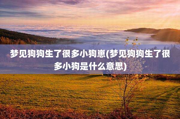梦见狗狗生了很多小狗崽(梦见狗狗生了很多小狗是什么意思)