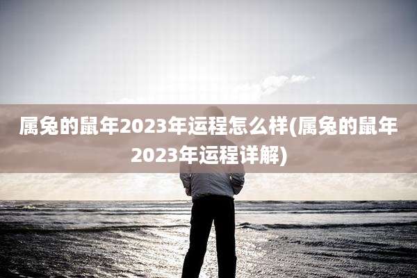 属兔的鼠年2023年运程怎么样(属兔的鼠年2023年运程详解)