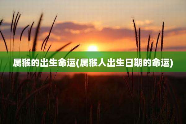 属猴的出生命运(属猴人出生日期的命运)