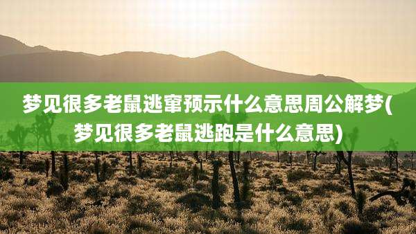 梦见很多老鼠逃窜预示什么意思周公解梦(梦见很多老鼠逃跑是什么意思)