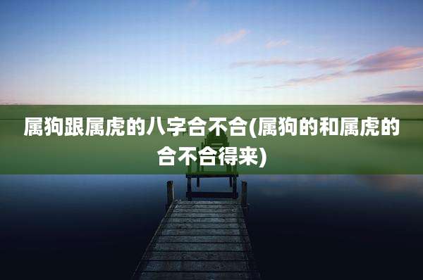 属狗跟属虎的八字合不合(属狗的和属虎的合不合得来)