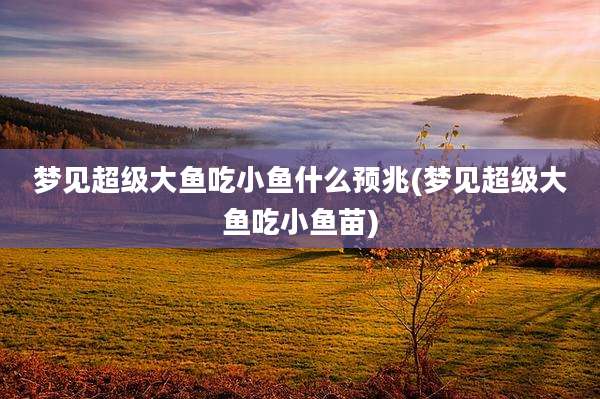 梦见超级大鱼吃小鱼什么预兆(梦见超级大鱼吃小鱼苗)