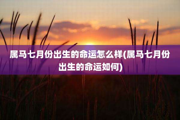 属马七月份出生的命运怎么样(属马七月份出生的命运如何)