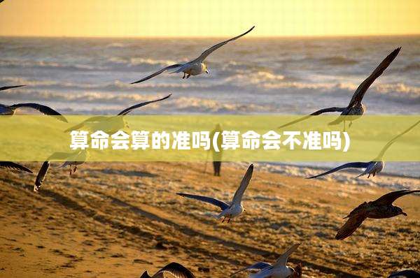 算命会算的准吗(算命会不准吗)