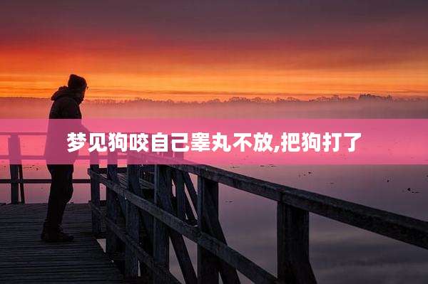 梦见狗咬自己睾丸不放,把狗打了
