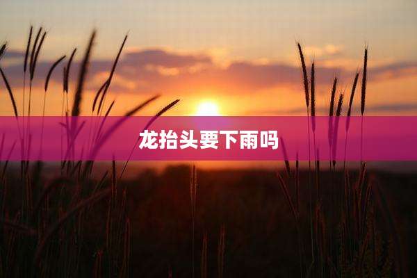 龙抬头要下雨吗