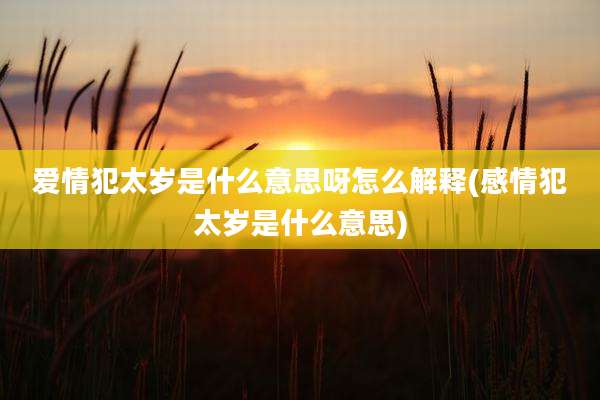 爱情犯太岁是什么意思呀怎么解释(感情犯太岁是什么意思)