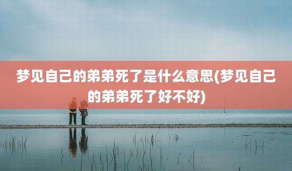 梦见自己的弟弟死了是什么意思(梦见自己的弟弟死了好不好)