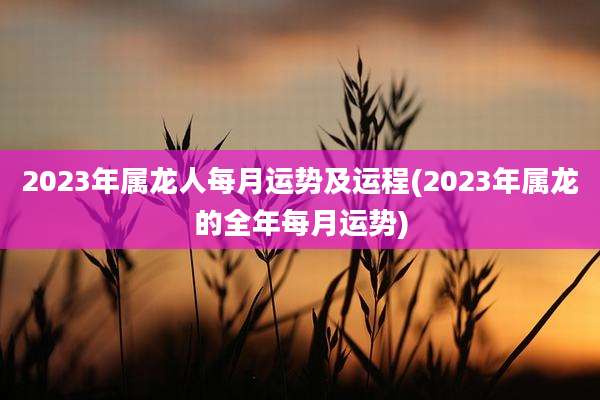 2023年属龙人每月运势及运程(2023年属龙的全年每月运势)