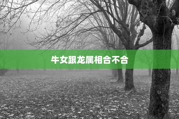 牛女跟龙属相合不合