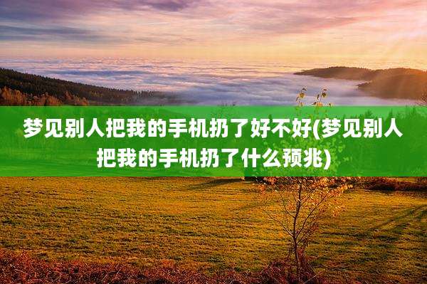 梦见别人把我的手机扔了好不好(梦见别人把我的手机扔了什么预兆)