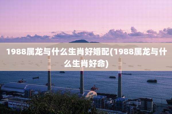 1988属龙与什么生肖好婚配(1988属龙与什么生肖好命)