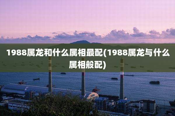 1988属龙和什么属相最配(1988属龙与什么属相般配)
