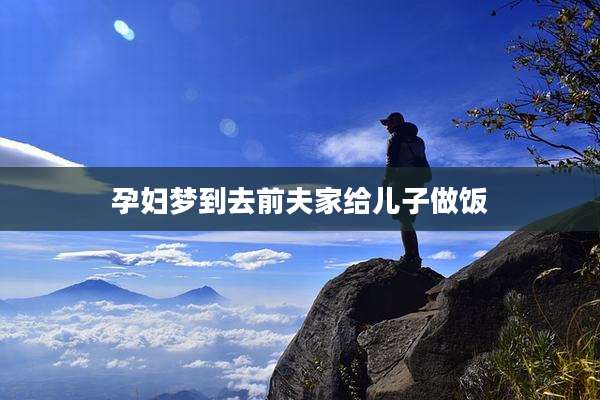 孕妇梦到去前夫家给儿子做饭