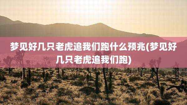 梦见好几只老虎追我们跑什么预兆(梦见好几只老虎追我们跑)