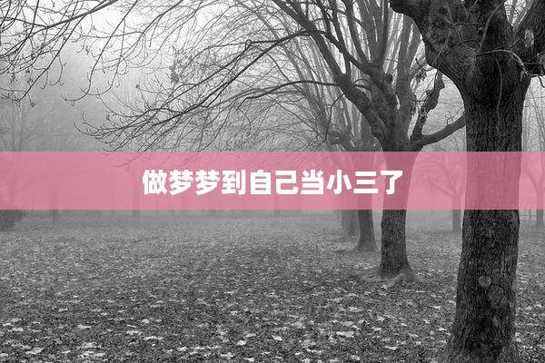 做梦梦到自己当小三了