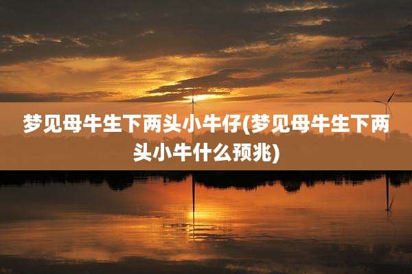梦见母牛生下两头小牛仔(梦见母牛生下两头小牛什么预兆)