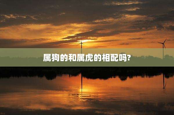 属狗的和属虎的相配吗?