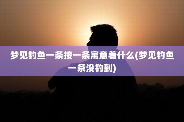梦见钓鱼一条接一条寓意着什么(梦见钓鱼一条没钓到)