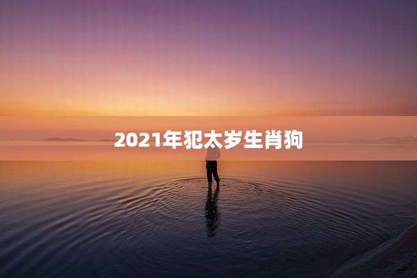 2021年犯太岁生肖狗