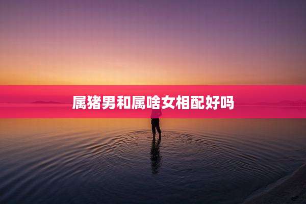 属猪男和属啥女相配好吗