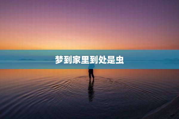 梦到家里到处是虫