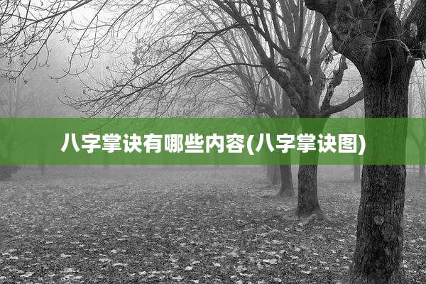 八字掌诀有哪些内容(八字掌诀图)