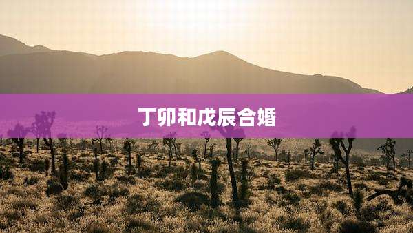 丁卯和戊辰合婚