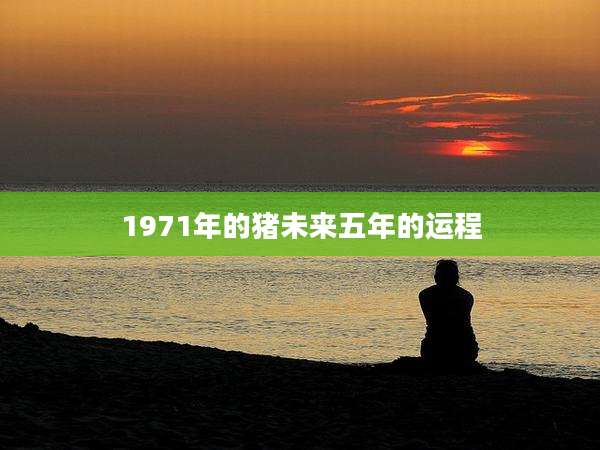 1971年的猪未来五年的运程