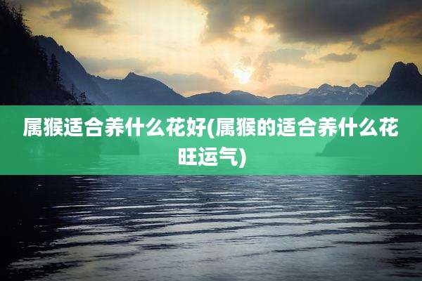 属猴适合养什么花好(属猴的适合养什么花旺运气)