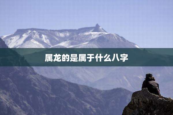 属龙的是属于什么八字