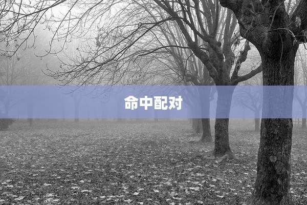 命中配对
