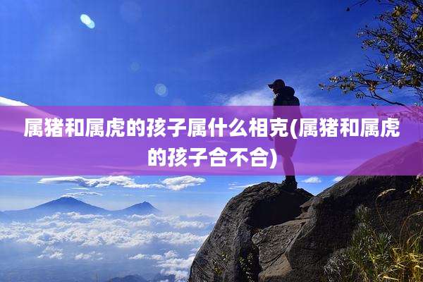 属猪和属虎的孩子属什么相克(属猪和属虎的孩子合不合)