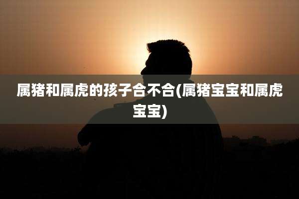 属猪和属虎的孩子合不合(属猪宝宝和属虎宝宝)