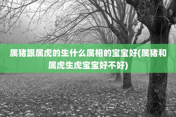 属猪跟属虎的生什么属相的宝宝好(属猪和属虎生虎宝宝好不好)