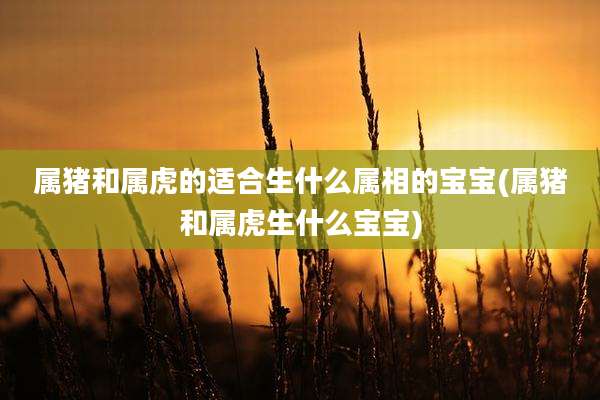 属猪和属虎的适合生什么属相的宝宝(属猪和属虎生什么宝宝)