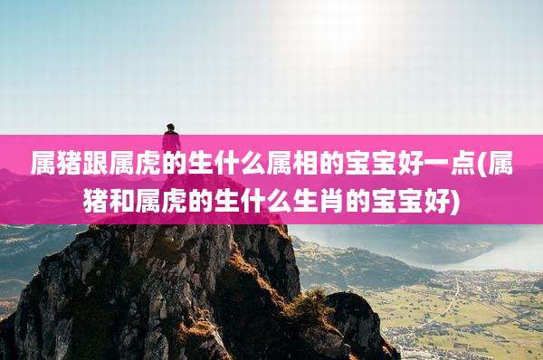 属猪跟属虎的生什么属相的宝宝好一点(属猪和属虎的生什么生肖的宝宝好)