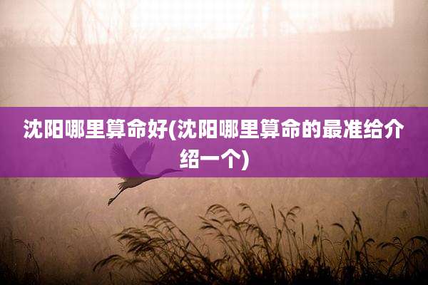沈阳哪里算命好(沈阳哪里算命的最准给介绍一个)