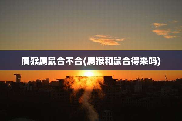 属猴属鼠合不合(属猴和鼠合得来吗)
