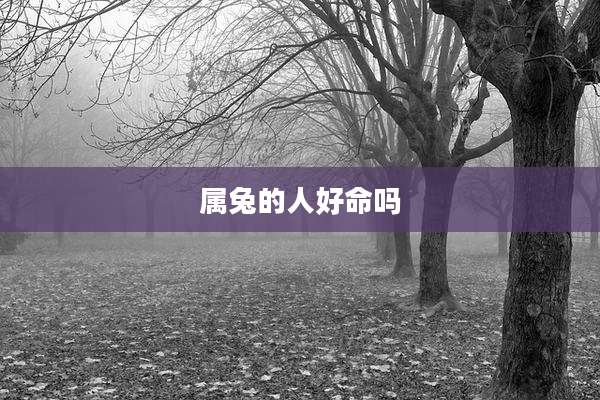 属兔的人好命吗