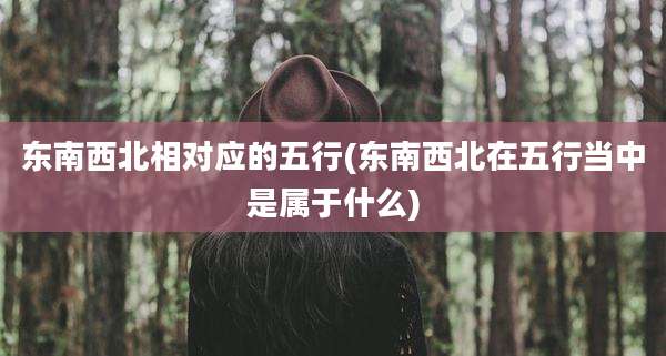 东南西北相对应的五行(东南西北在五行当中是属于什么)