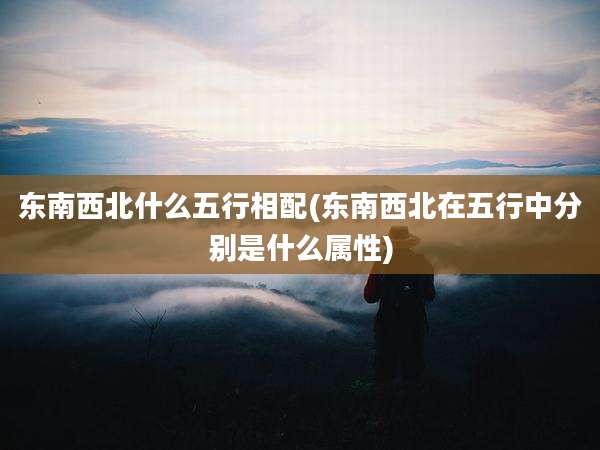 东南西北什么五行相配(东南西北在五行中分别是什么属性)