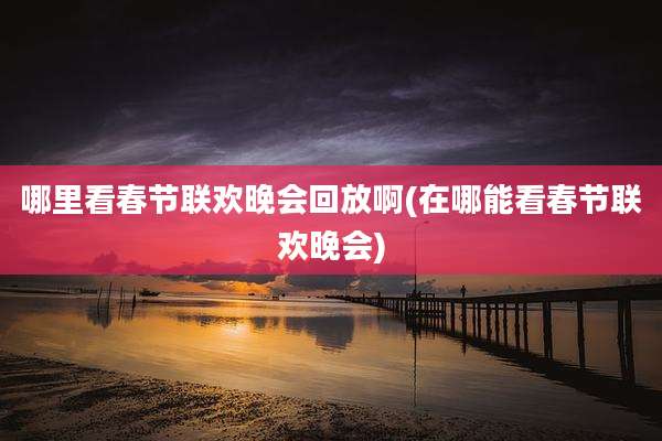 哪里看春节联欢晚会回放啊(在哪能看春节联欢晚会)