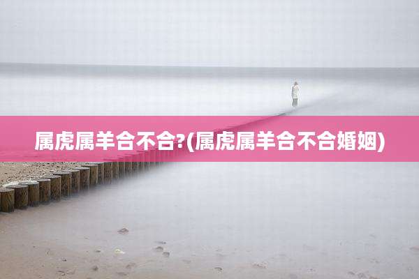属虎属羊合不合?(属虎属羊合不合婚姻)