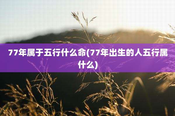 77年属于五行什么命(77年出生的人五行属什么)