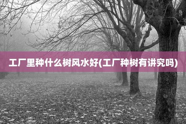 工厂里种什么树风水好(工厂种树有讲究吗)