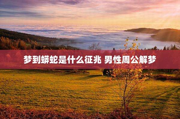 梦到蟒蛇是什么征兆 男性周公解梦