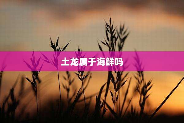 土龙属于海鲜吗